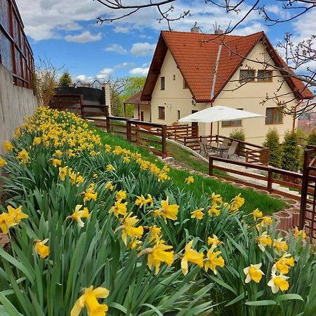 Apartament Matei Braşov Dış mekan fotoğraf