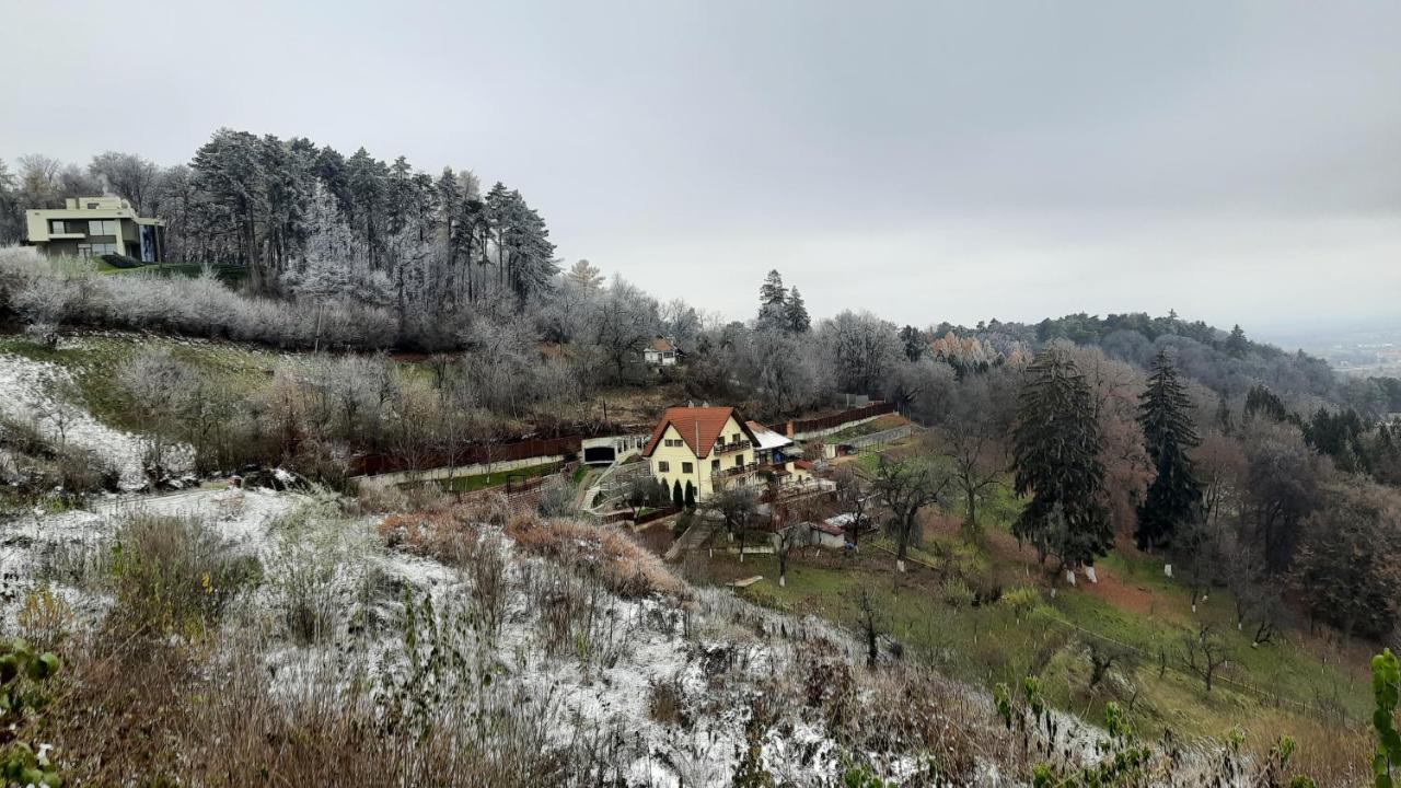Apartament Matei Braşov Dış mekan fotoğraf