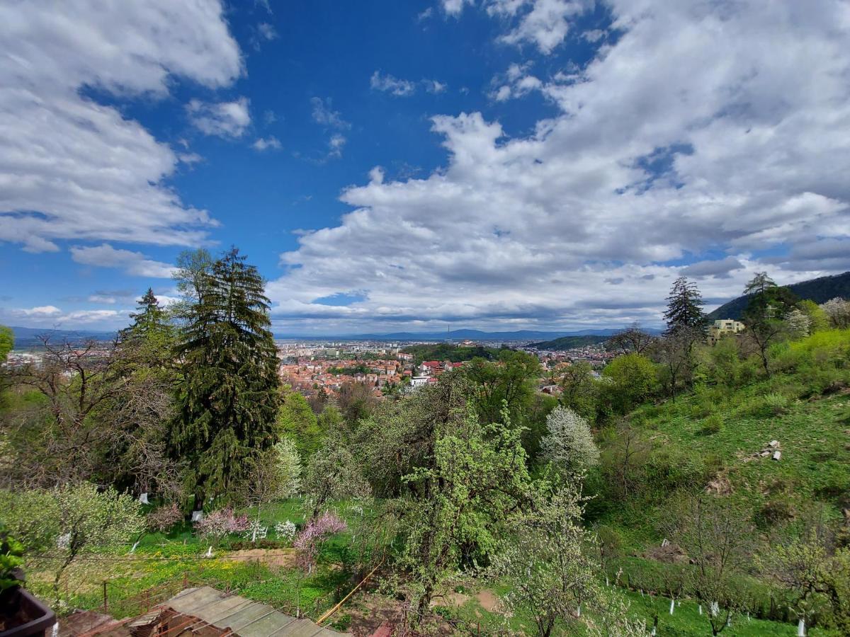Apartament Matei Braşov Dış mekan fotoğraf