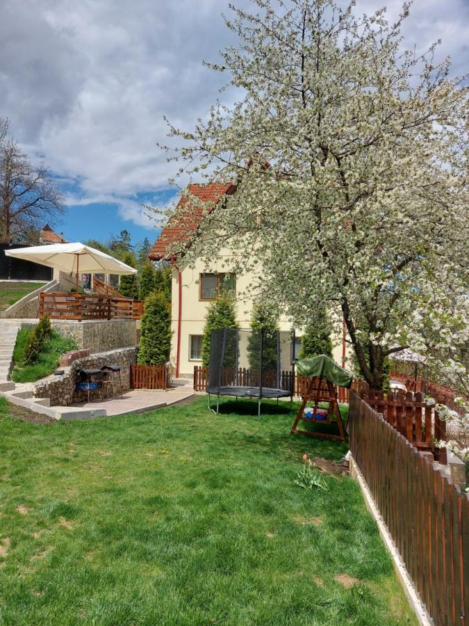 Apartament Matei Braşov Dış mekan fotoğraf